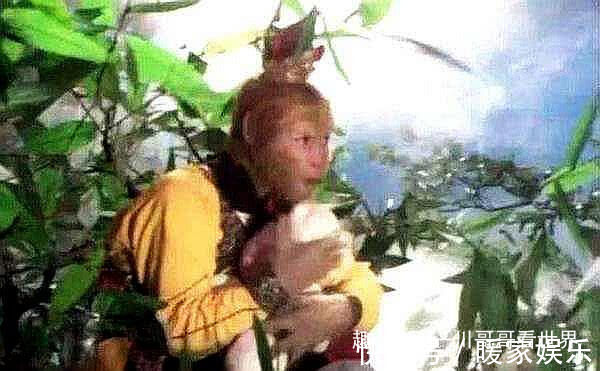 蟠桃|为啥孙悟空吃蟠桃只咬一口就扔桃子放大后明白了，真难为猴哥了