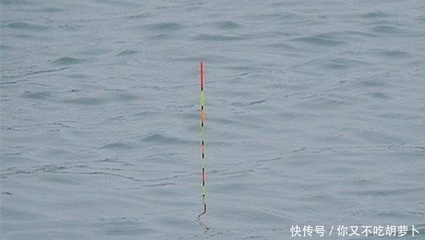 漂相往往|调漂技巧浮漂的送漂、顿口是怎么形成的