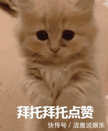 泡木耳,10个人9个错,饭店厨师长教你一招,泡的又快又干净