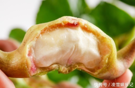 降血糖|64岁糖尿病院士：降糖冠军并非苦瓜，你若喜欢吃，血糖或变通透