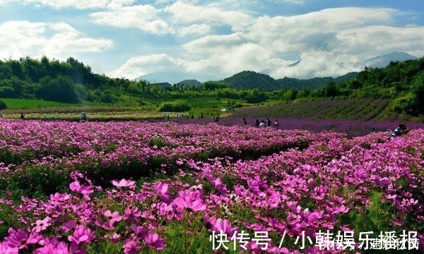 河北|河北4A景区，三步一瀑，五步一潭，山顶还有花海，正值当季游玩