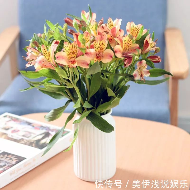 花瓣带有七彩斑纹,百合花的“亲戚”,花中的潜力股
