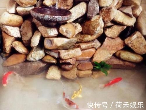 在阳台上砌个鱼池，成本只花200元，亲戚朋友们都眼红了