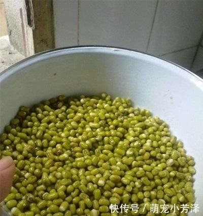 烘干法|煮绿豆时,总是煮不烂吗?粥店老板说漏嘴,5分钟绿豆软烂开花