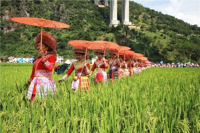 丽江|丽江华坪首届新庄乡村旅游节共接待游客4.4万人