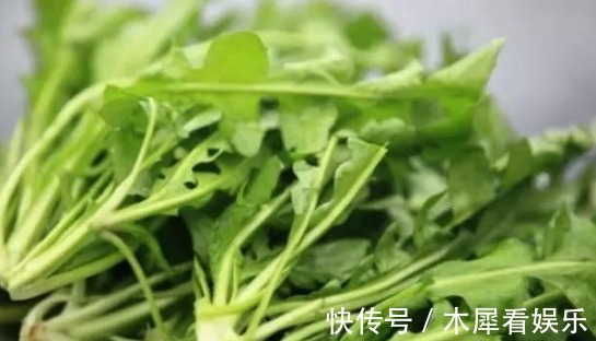 荠荠菜|农村路边常见的3种“长寿菜”，曾被踩踏遭人嫌弃，如今都抢着要