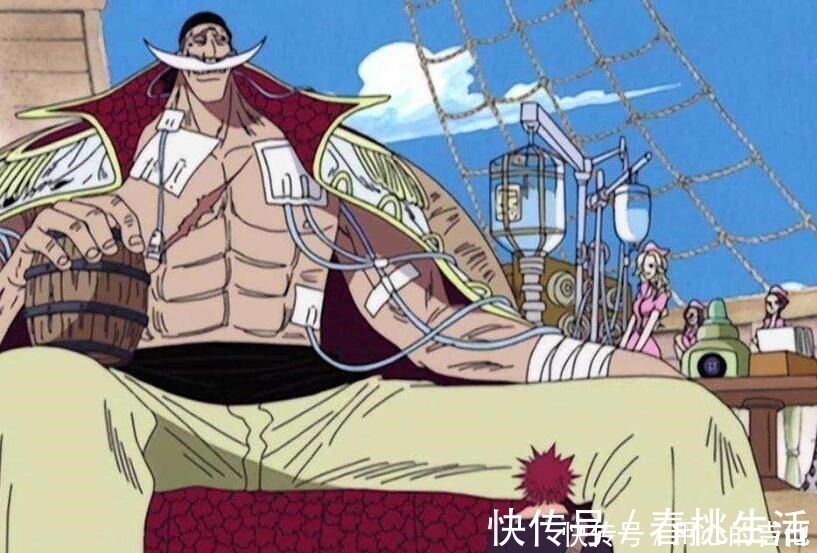 吊瓶|海贼王白胡子不做这三件事,顶上战争轻松救出艾斯!