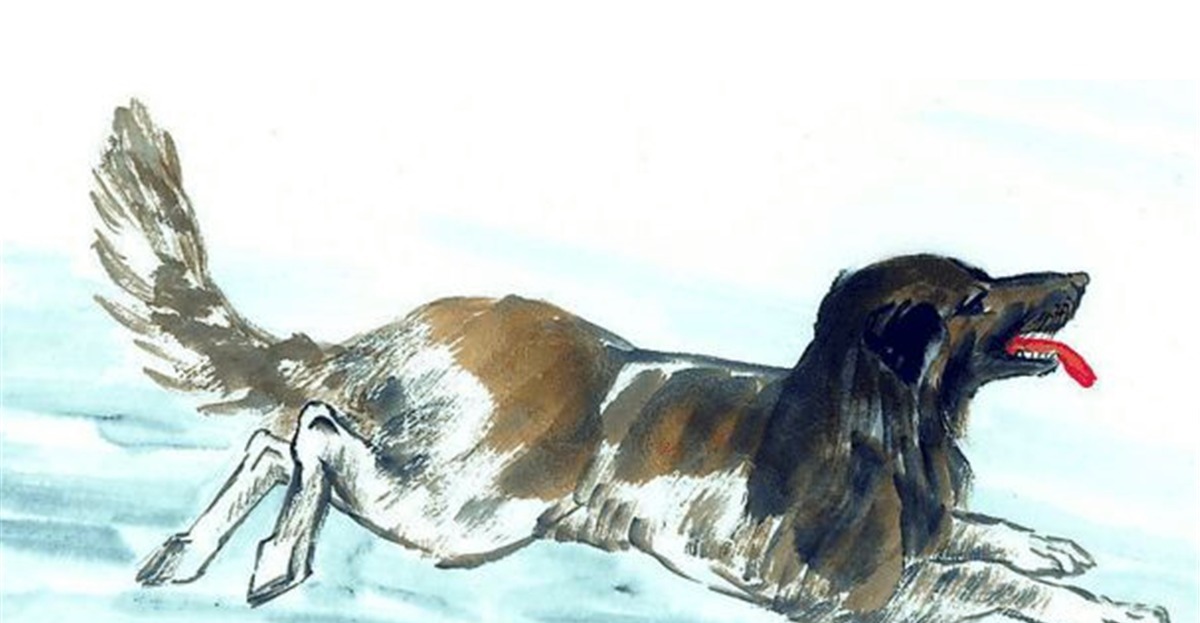 民间俗语“狗肉不上桌”,为啥狗肉不能上桌背后有大讲究!