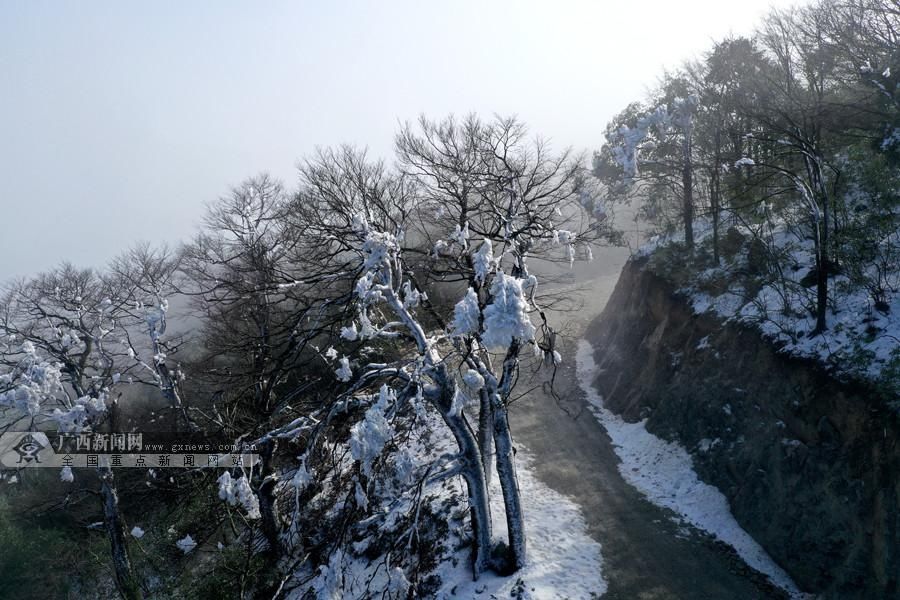 族自治县|广西三江银装素裹景美如画