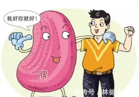 脾胃不好|一篇你从未见过,把补脾知识全讲明白的文章!懂养生的人都收藏了