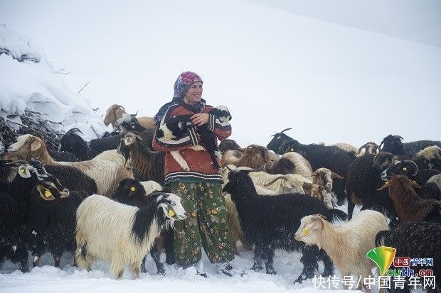 老年|土耳其牧民雪中放牧成风景线 皑皑白雪宛如童话世界