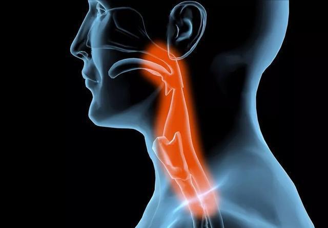 慢性疾病|甲状腺“知音”被发现,并非西红柿,常吃点,结节也许慢慢变小