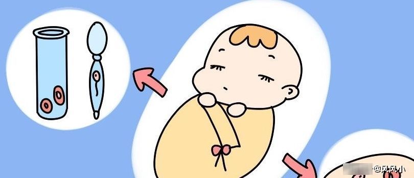 两个月|一年里,最适合怀孕的就是这两个月了,赶上的孕妈就恭喜了