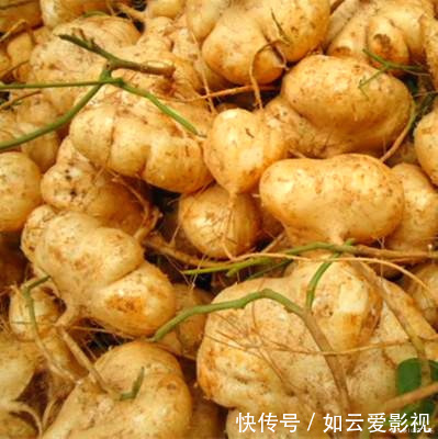 小时候|农村一野瓜,长在泥里可蔬可果营养丰富价值高,小时候看到流口水