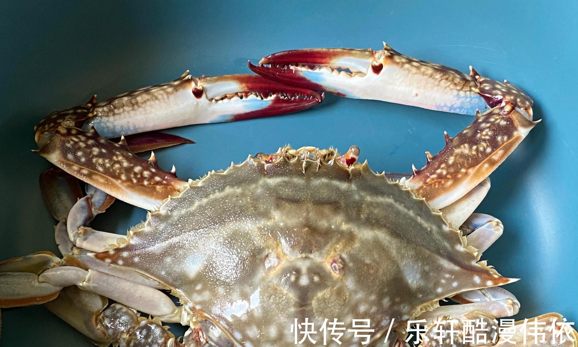 生粉|中秋家宴，有钱没钱，记得给家人吃这道菜，营养美味寓意如意