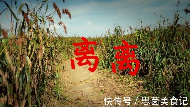 唐宋时期#“离离原上草”背了这么多年，“离离”到底什么意思？多数人不知