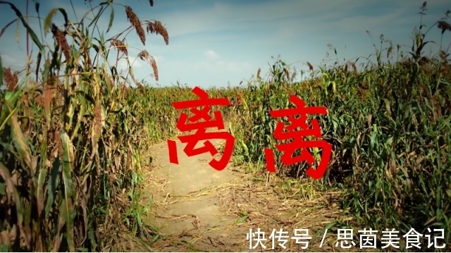 唐宋时期#“离离原上草”背了这么多年,“离离”到底什么意思?多数人不知