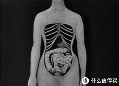 身材|实操干货｜被身材焦虑捧起来“全球销量上亿的网红束腰”会要你命！内含4个健康有效瘦腰动作