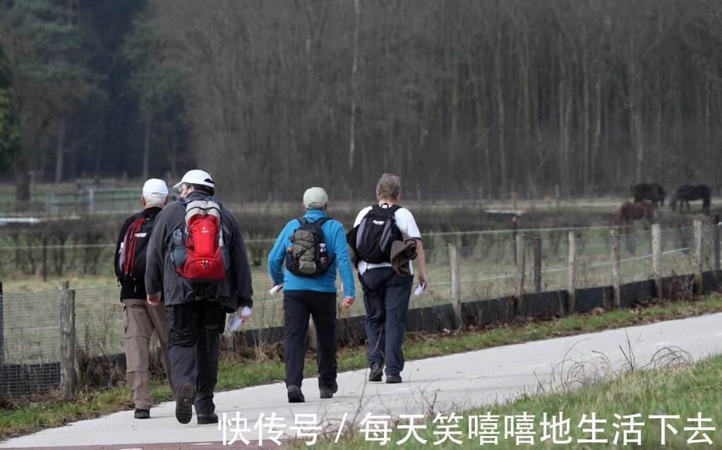 体脂率|饭后走一走,活到九十九吗?每天走路达到这个数,身体更强健!