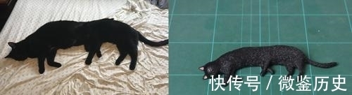 还原|全球的猫都想屏蔽这个日本人,他到底做了多少沙雕手办?