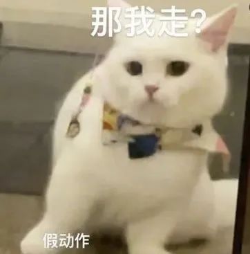 爱豆|唱跳节目没出道,恋爱综艺里他倒是挺有一套