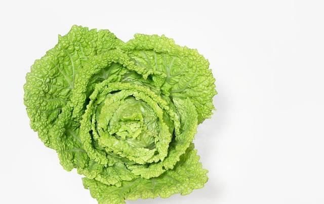 白菜好吃又便宜,却有人越吃身体越差,这4个禁忌一定要知道!