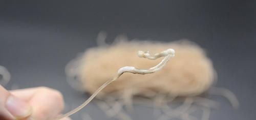  泡发粉条时，水里加点它，3分钟快速泡发还嫩滑有嚼劲，太方便了