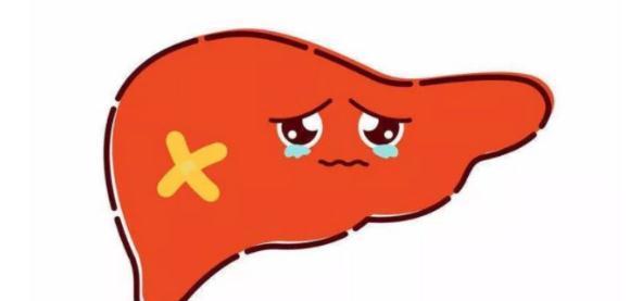 饮食|身体若有脂肪肝,一定会有这些表现,得了脂肪肝如何饮食?