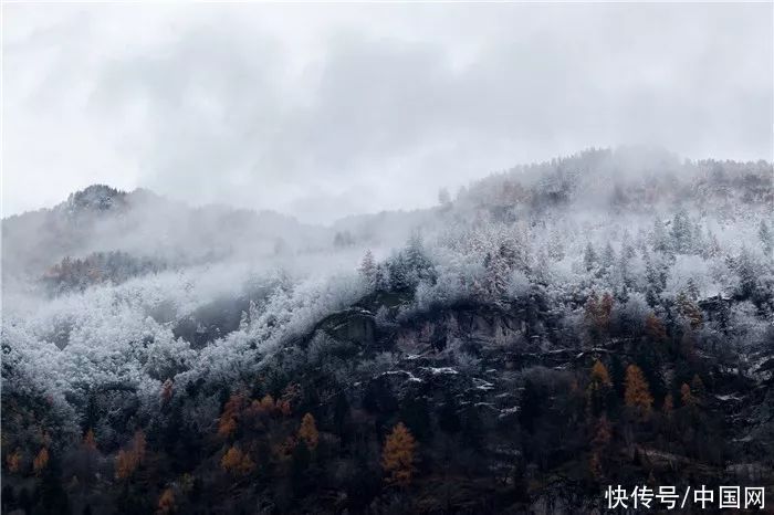  大雪：江山不夜月千里，天地无私玉万家|夜读 | 无私