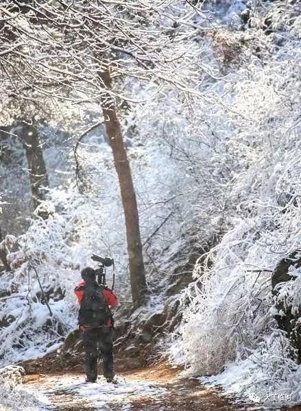 淹子岭的雪，太美了！