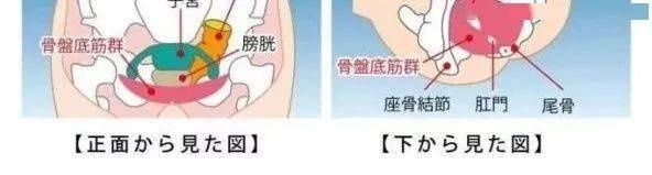 恢复|为什么一定要做产后康复？ 10年前不听劝没产后恢复，10年后她后悔了.....