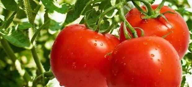 食物|不要再把九种食物放进冰箱里,因可能会滋生细菌,而很多人不知