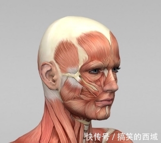 关于接吻的9个有趣的“冷”知识！
