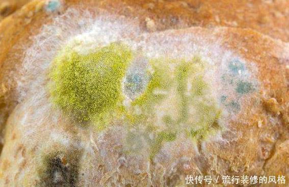 无声无息|食道癌来时无声无息?喉咙若有3种“迹象”,最好先做个钡餐检查