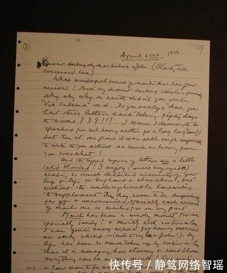 英文#植物大战僵尸:它们能够取代坚果家族?站着不动都能消灭僵尸!