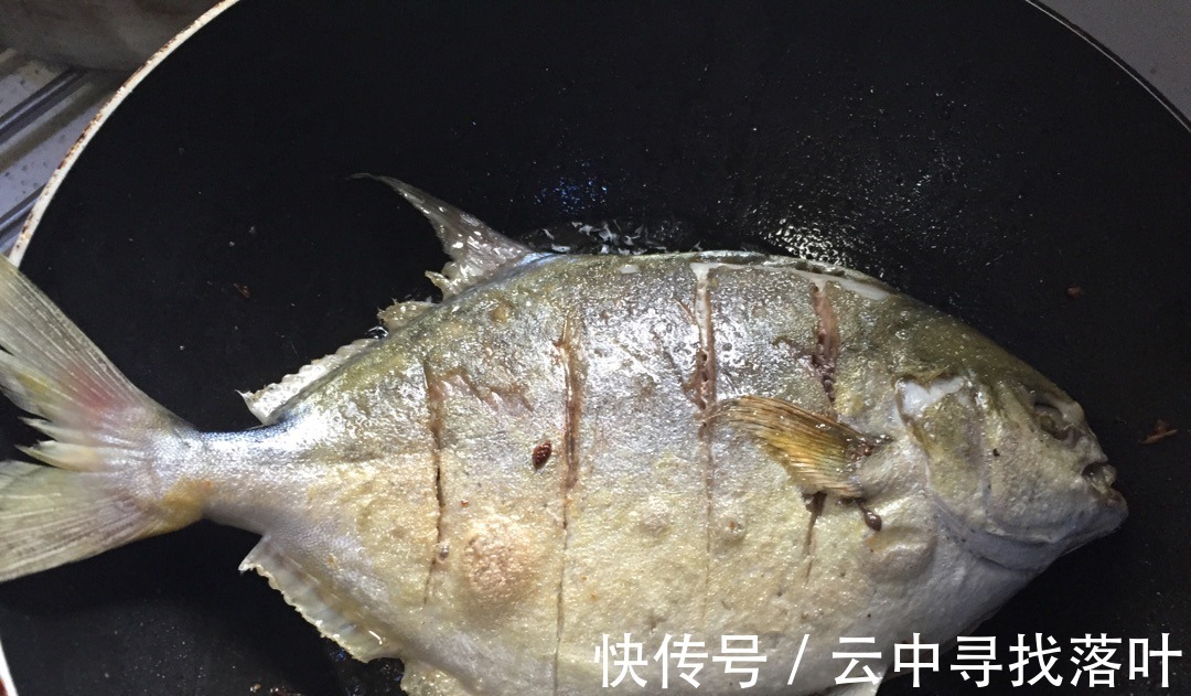 带鱼|入秋后,“贴秋膘”可别乱补,分享秋后5种鱼,营养解馋,不怕胖!