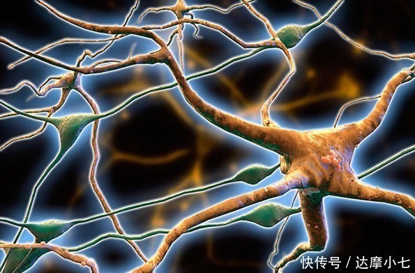 痴呆症|最补脑的竟然不是核桃没事吃两口,老来不痴呆,晚年生活呵呵笑