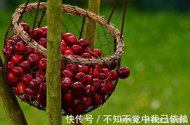 超短裙|瘦百科:夏季如何减肥更有效?这几点很关键