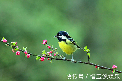 生肖鼠|孩子若是这3生肖，等于生了一个“招财童子”，以后运旺财也旺