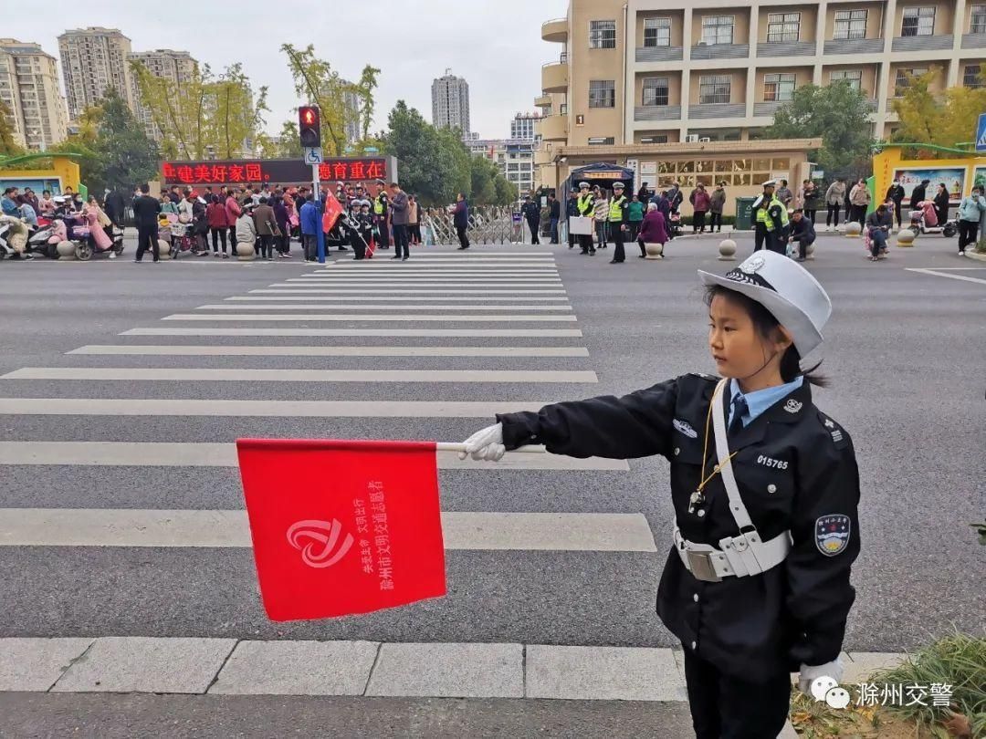 小学|交警支队为龙蟠小学“小小交警队”授旗