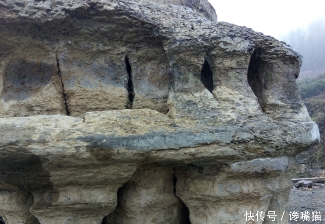 奇石|村民发现一6吨 ”飞碟“ 奇石,出价10万遭拒