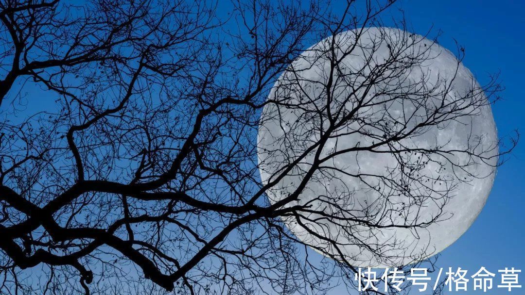 温庭筠&10首早行诗词｜寂寞小桥和梦过，稻田深处草虫鸣