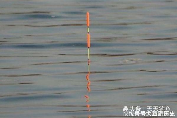 滑漂钓组|滑漂钓法钓组搭配方法，夏季带漂远投钓大鱼，野钓最实用钓法