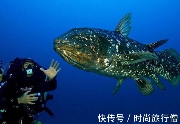 专业性|这只专业潜水表,送给冬季准备潜水的你