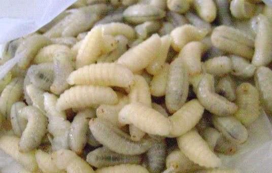 常吃|皱纹“害怕”的几种食物,女人常吃,补充胶原蛋白,越吃越年轻