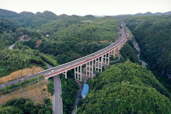 旅游公路|工行大方支行：旅游发展跑出“加速度” 百里杜鹃锦上添“花”