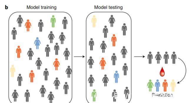 肺脏|60岁感觉“断崖式”衰老?采集4千人血液发现,衰老有三道坎儿
