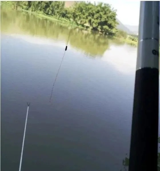 钓友|这几个台钓小技巧平时不显眼,关键时刻却能帮你大忙,记牢了