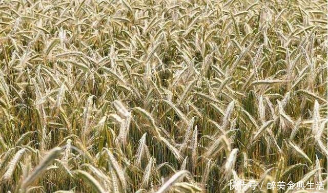 俗语“男子难得三更子,女子难得正午时”,是不是说反了