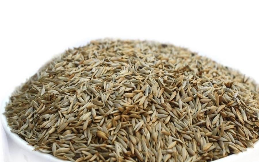 食物|三伏天来了，三种食物要多吃，延缓衰老，不可错过